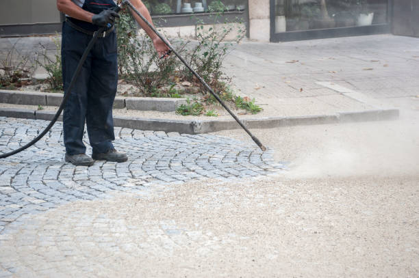 Best Pre-Holiday Cleaning  in Whitefish Bay, WI